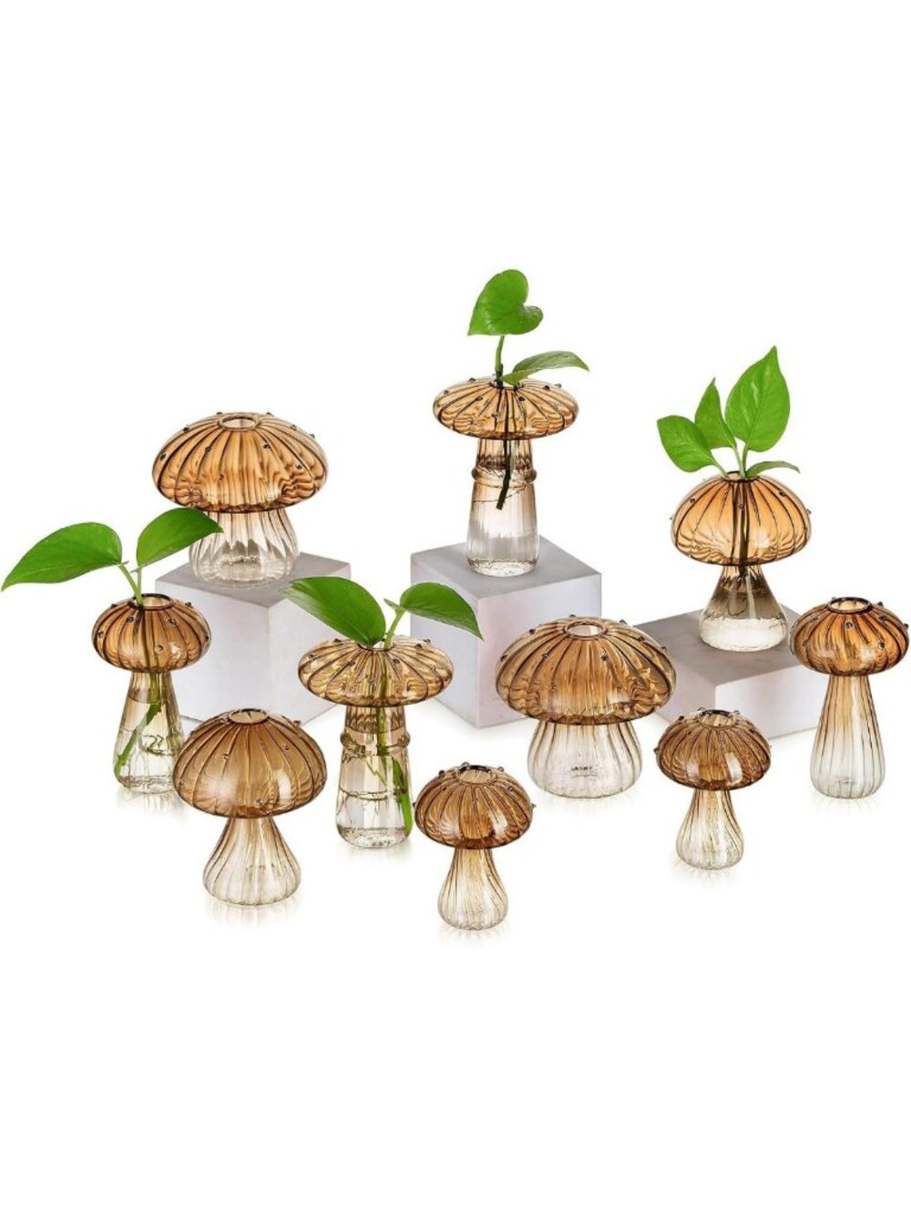 10-Piece Glass Terrarium Set for Plant Propagation - Stylish Home Decor